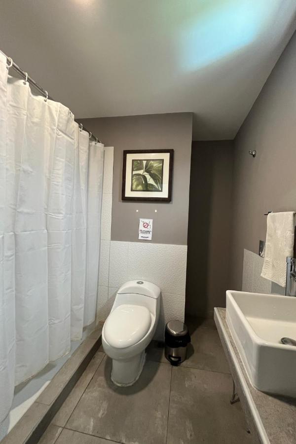 סאן סלבדור Hotel Boutique Valverde Santa Elena מראה חיצוני תמונה